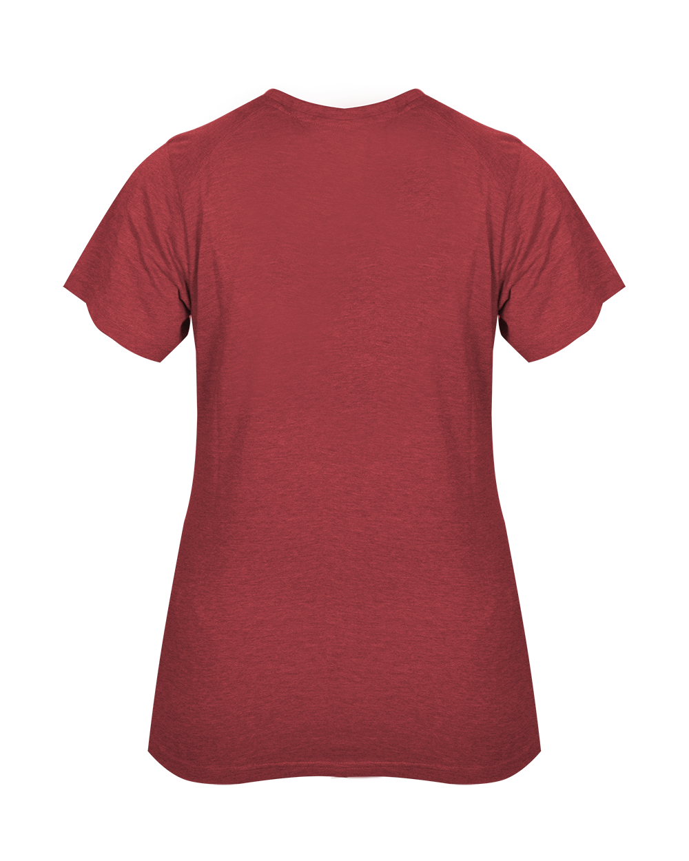 LADIES TRI-BLEND V-NECK TEE back