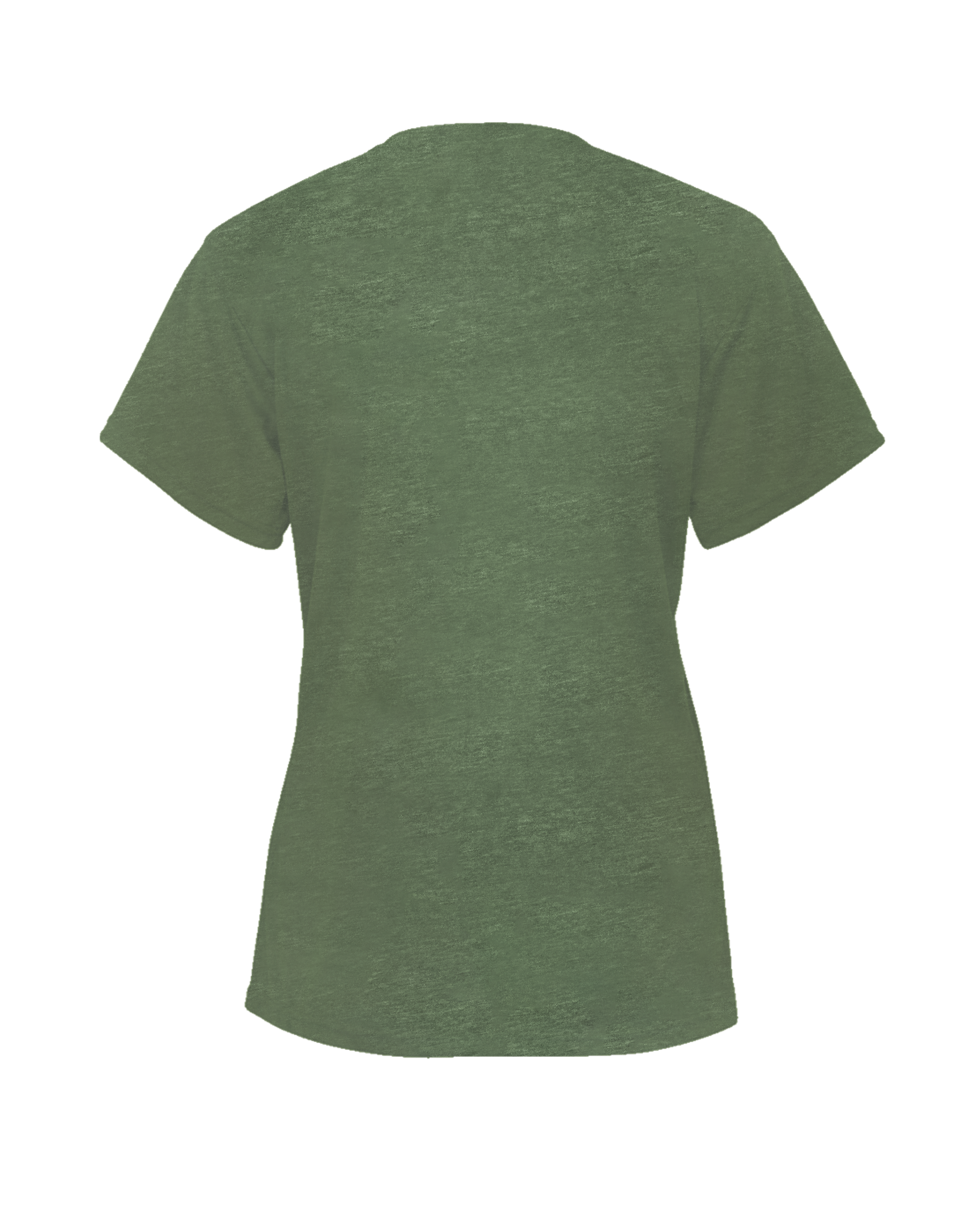 LADIES TRI-BLEND V-NECK TEE back