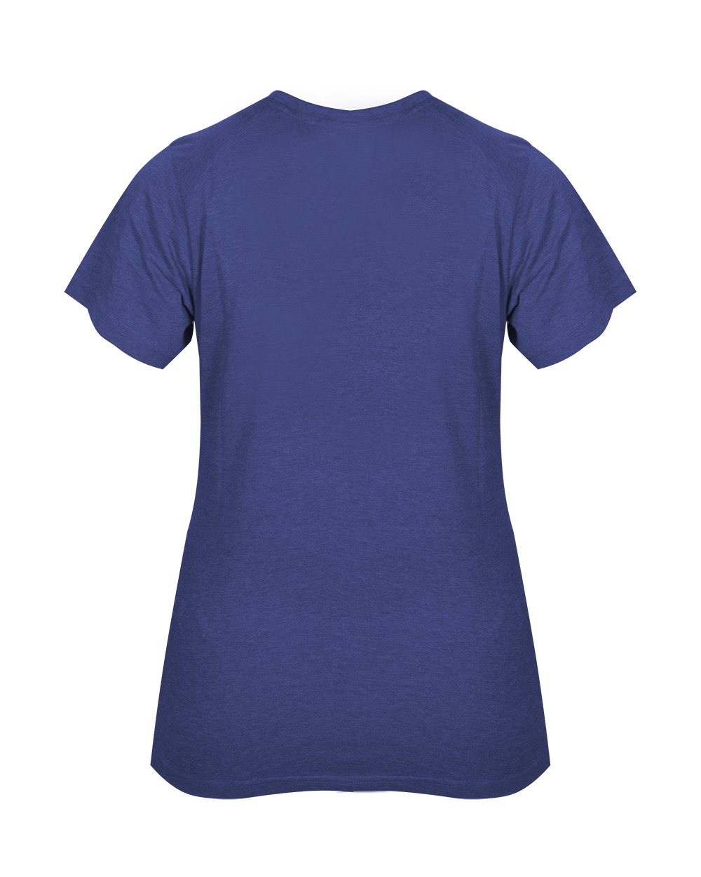 LADIES TRI-BLEND V-NECK TEE back