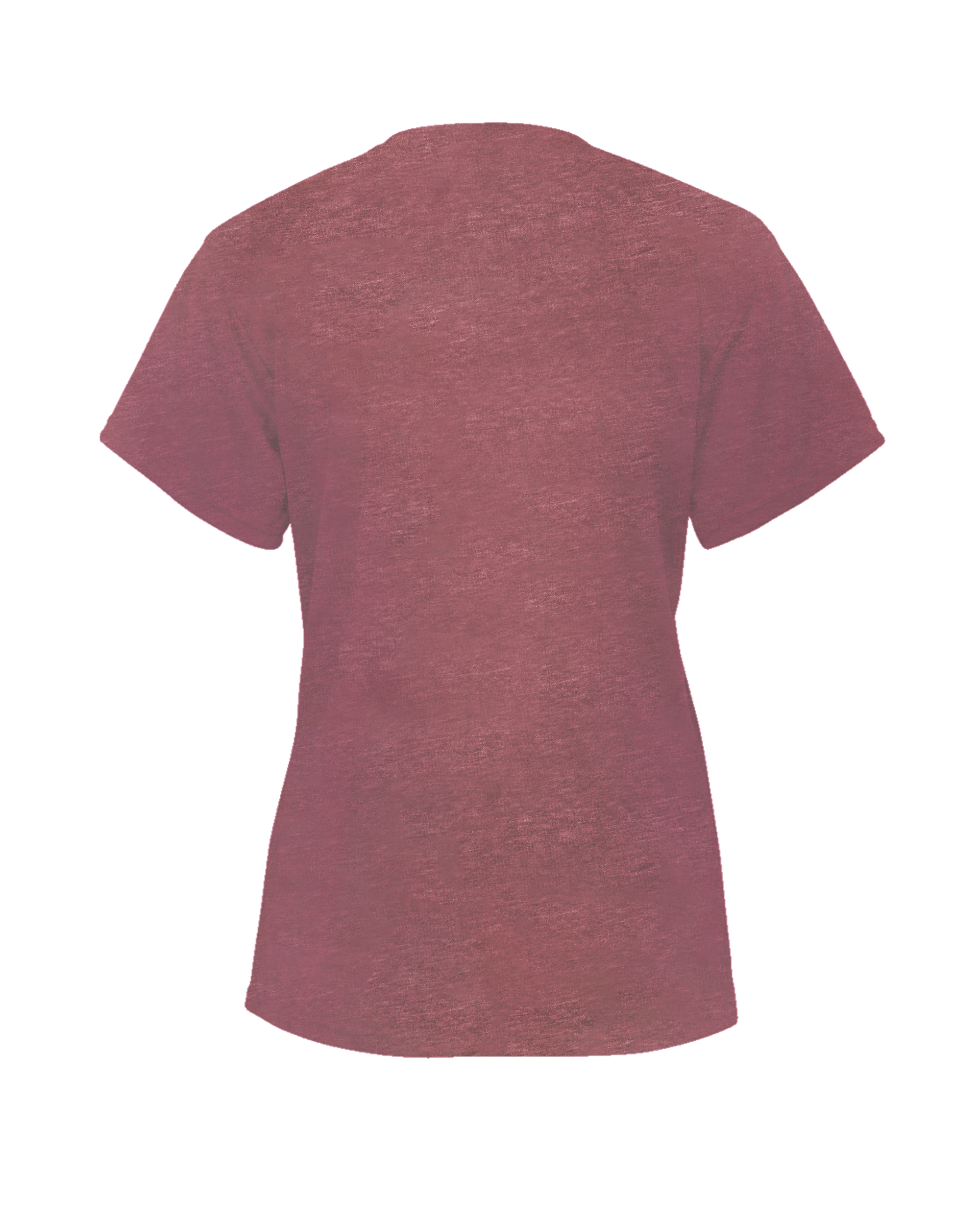 LADIES TRI-BLEND V-NECK TEE back