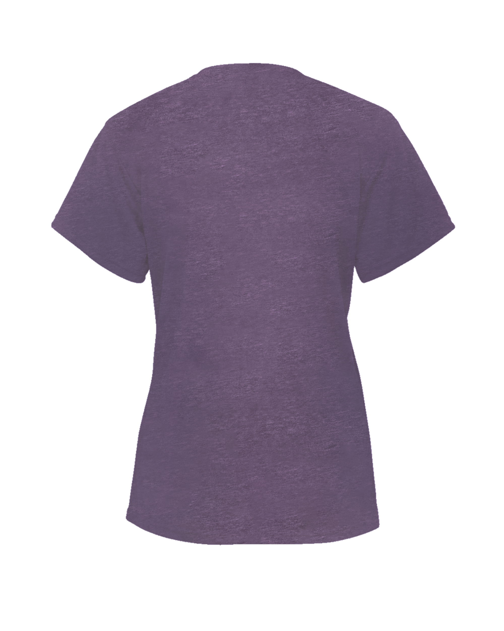 LADIES TRI-BLEND V-NECK TEE back