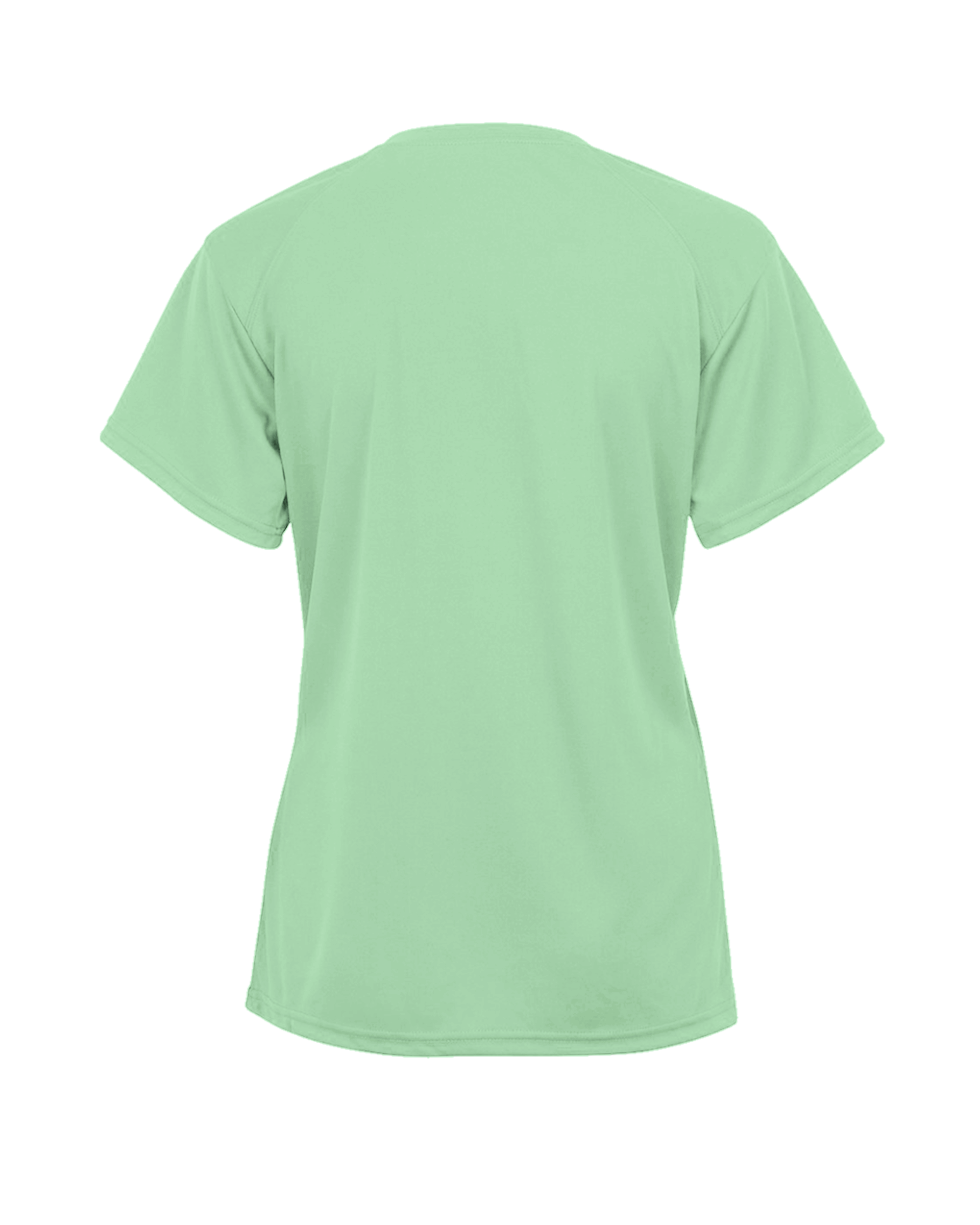 LADIES TRI-BLEND V-NECK TEE back