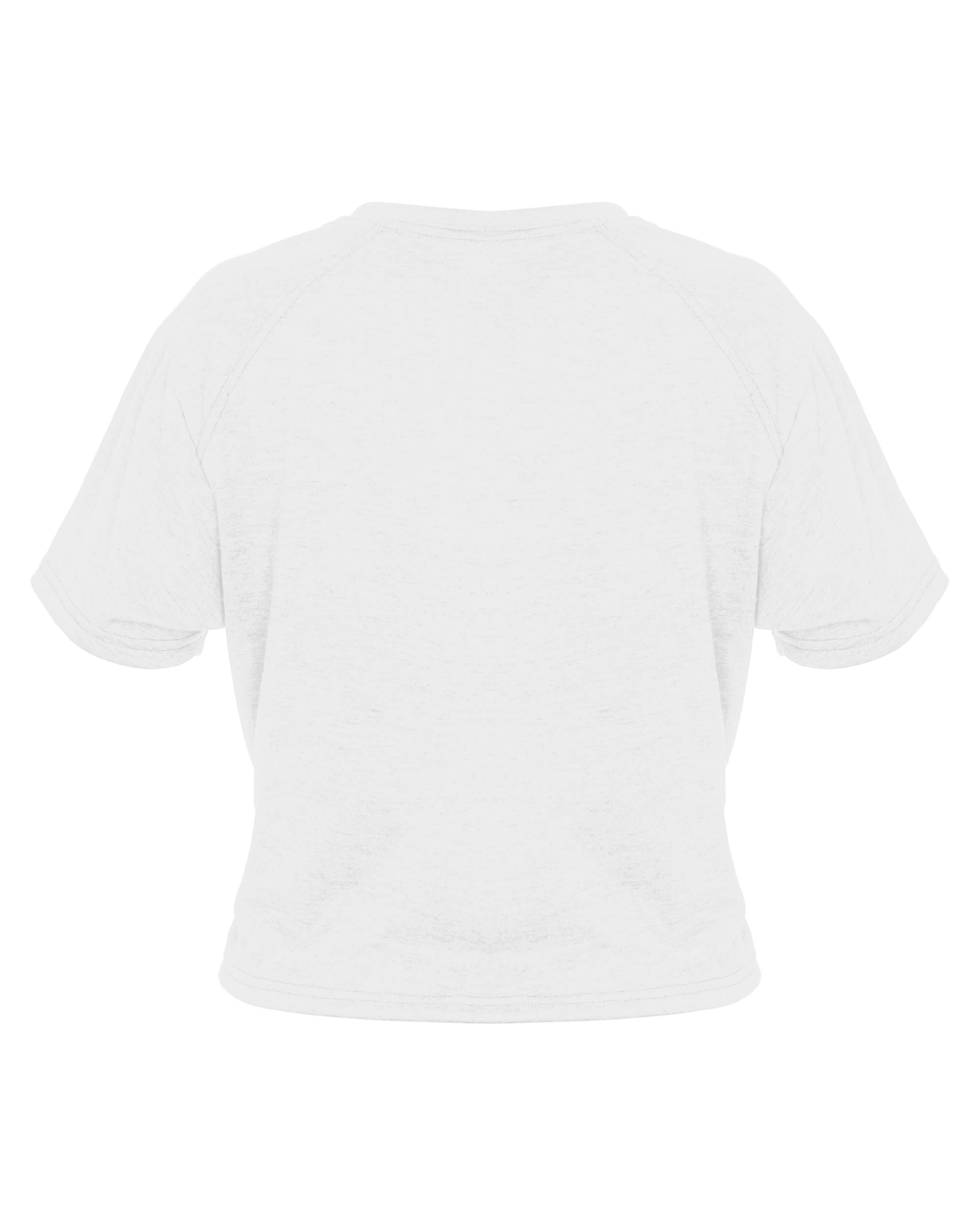 LADIES TRI-BLEND CROP TEE back
