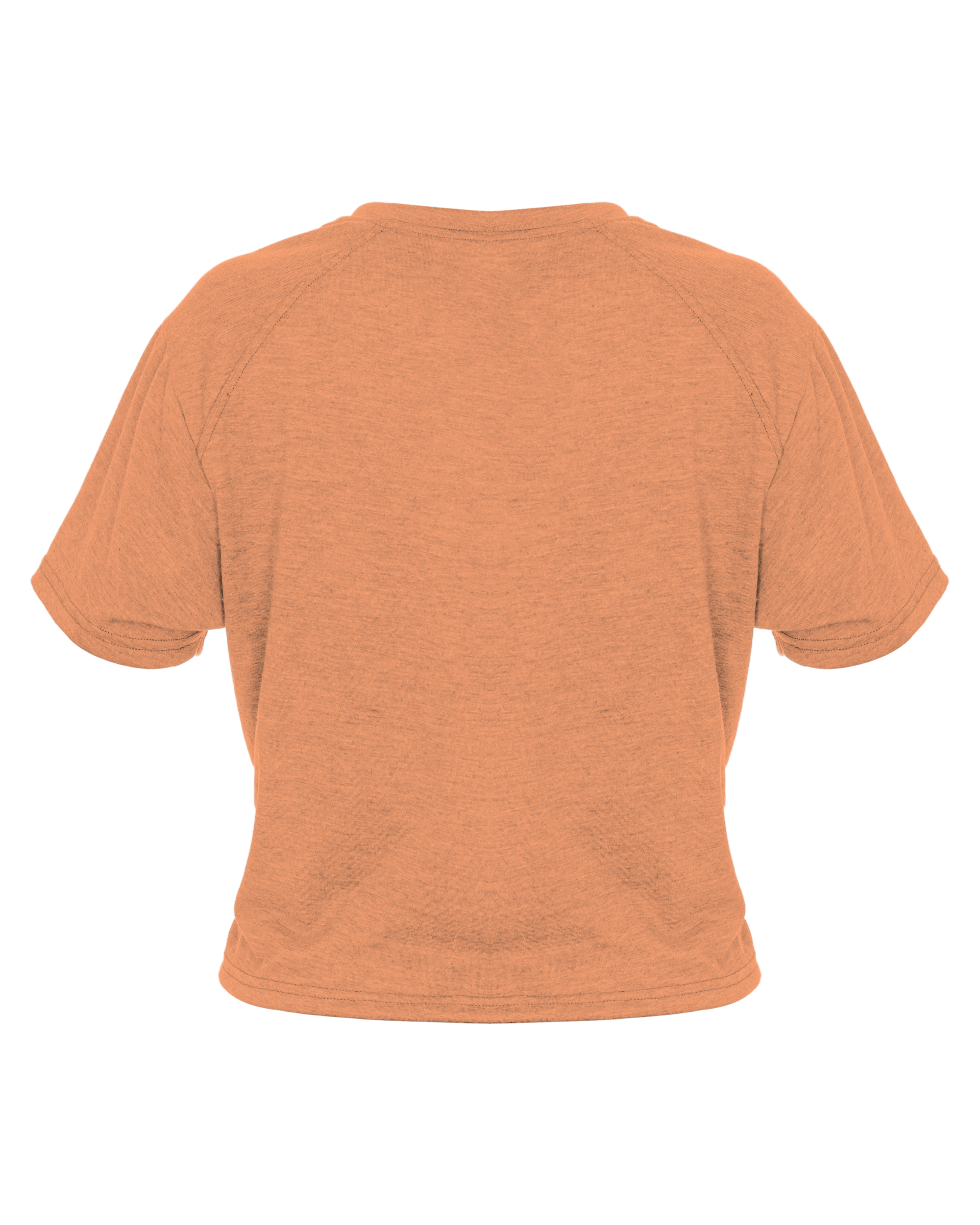 LADIES TRI-BLEND CROP TEE back