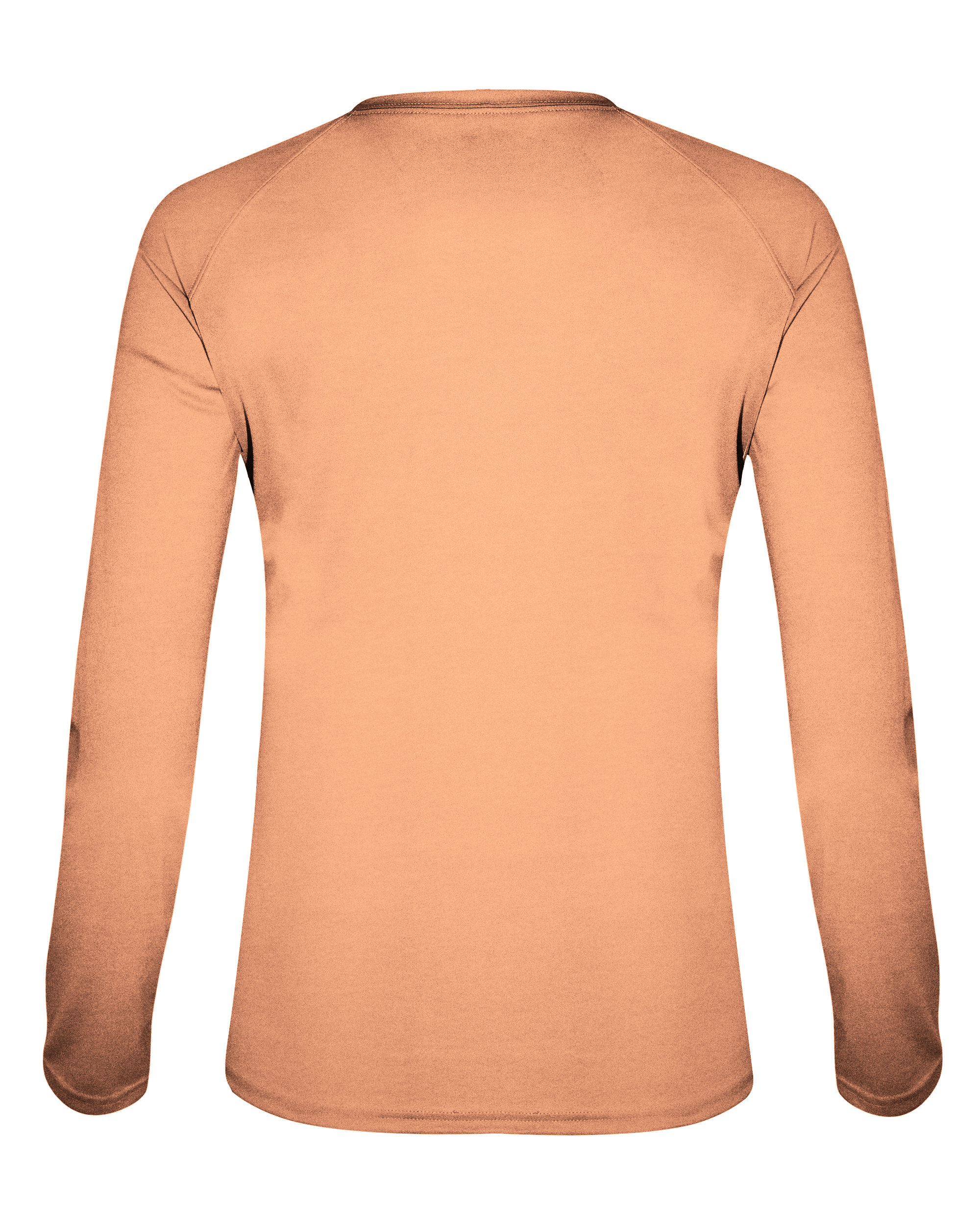 LADIES TRI-BLEND V-NECK LONG SLEEVE TEE back