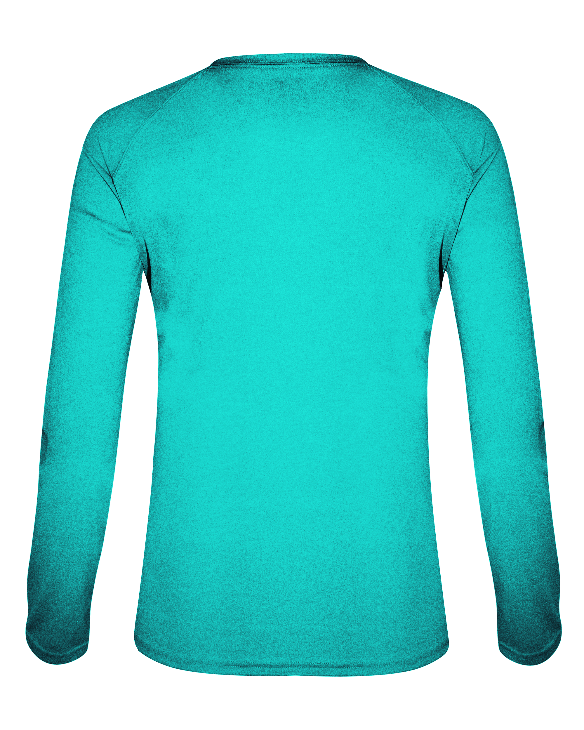 LADIES TRI-BLEND V-NECK LONG SLEEVE TEE back