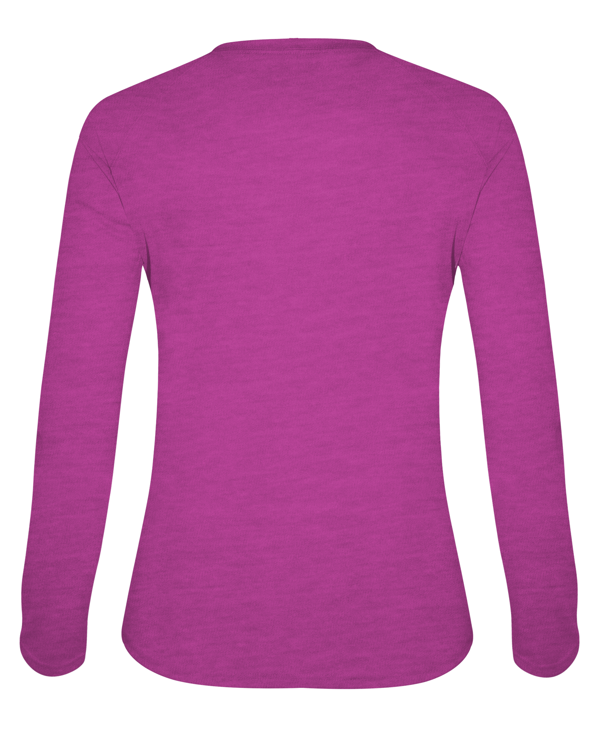 LADIES TRI-BLEND V-NECK LONG SLEEVE TEE back