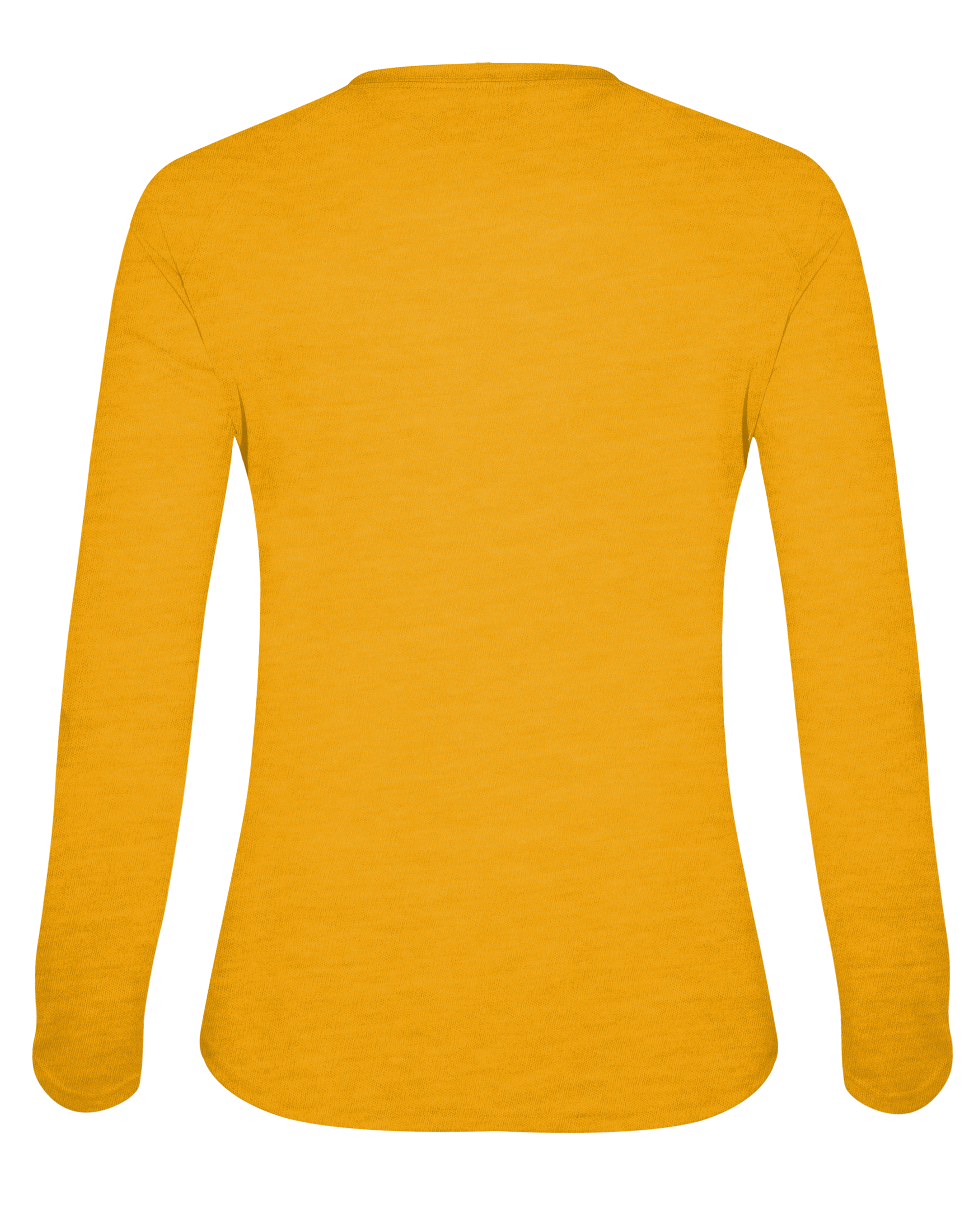 LADIES TRI-BLEND V-NECK LONG SLEEVE TEE back
