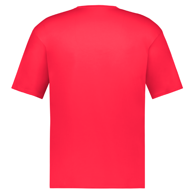 C2 TEE back