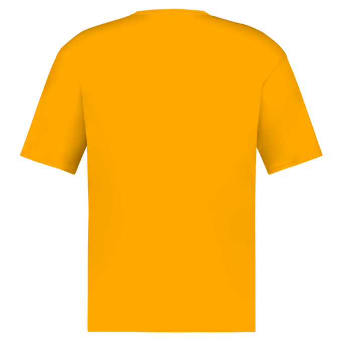 YOUTH C2 TEE back