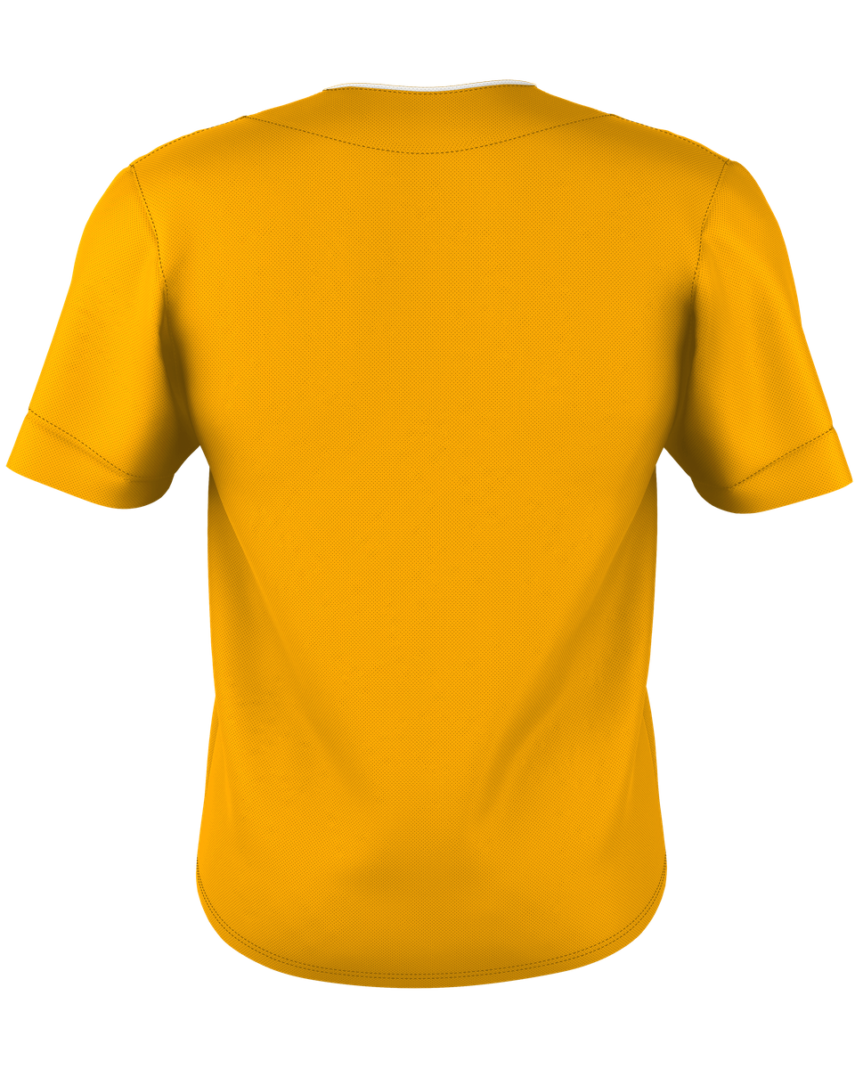 TWO BUTTON MESH BASEBALL JERSEY back
