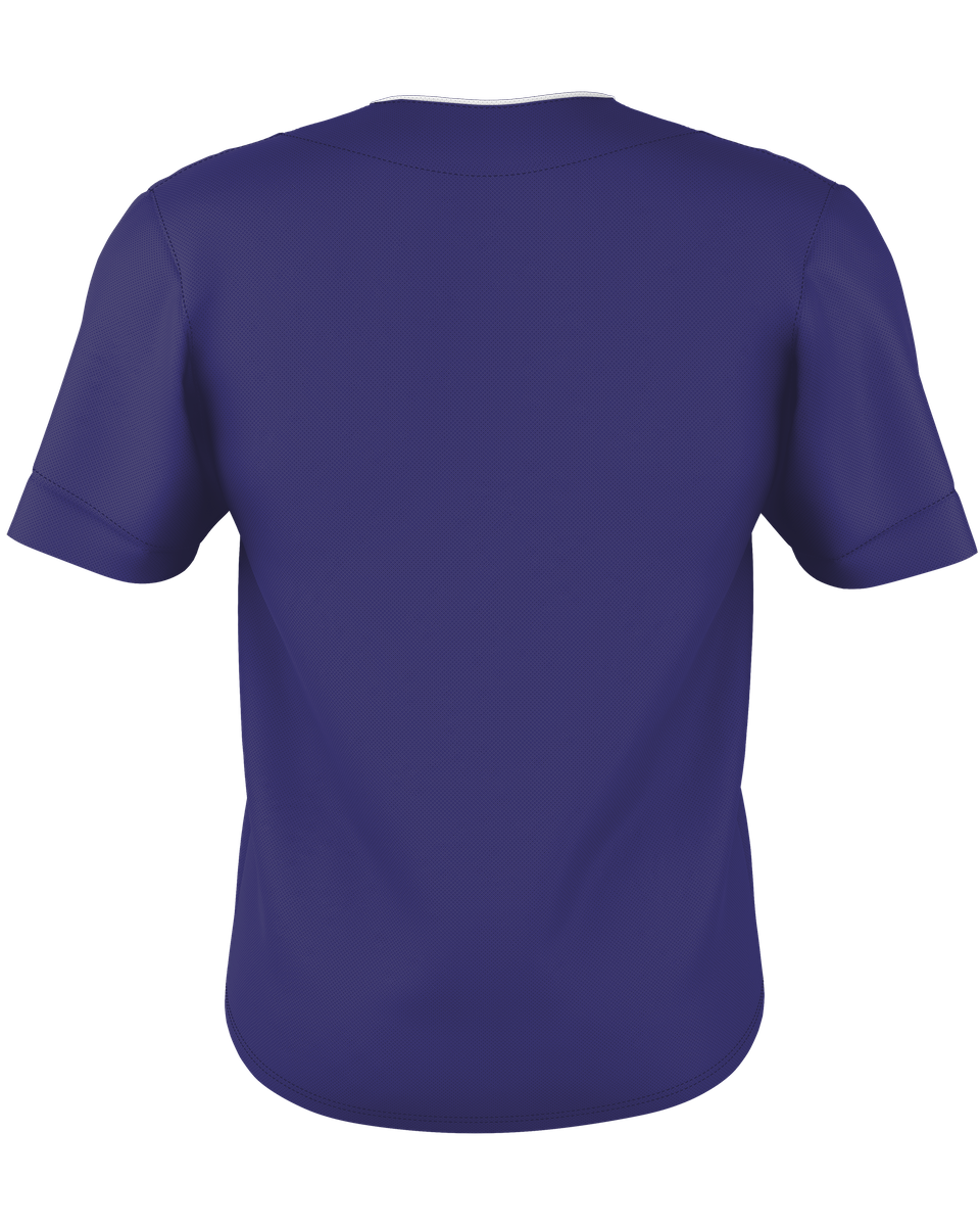 TWO BUTTON MESH BASEBALL JERSEY back