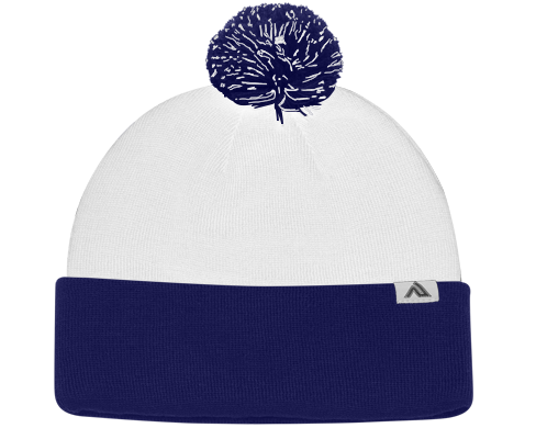 Knit Fold Over Pom-Pom Beanie Back