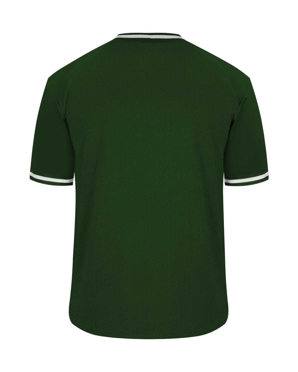 VINTAGE BASEBALL JERSEY back